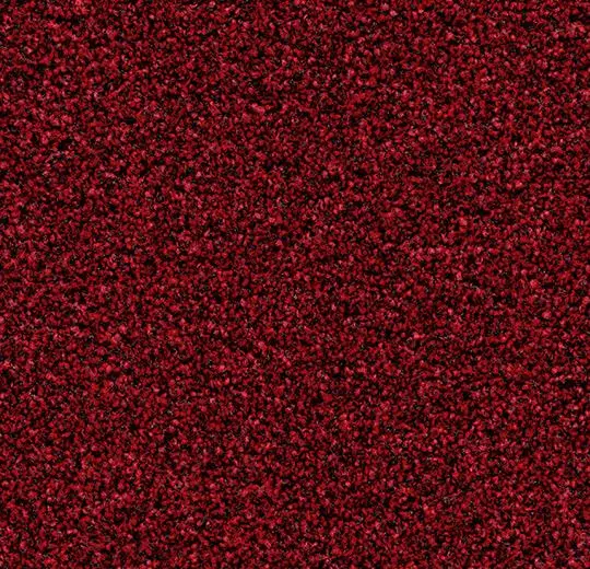 coral karo – 2603 vivid earth