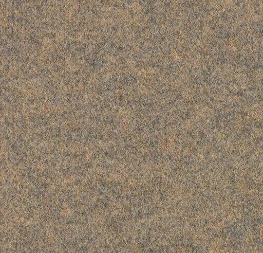 forte – 96004