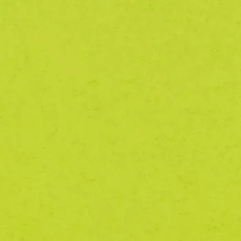modul’up compact – 248UP43C lime green canyon