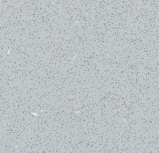safestep r12 – 175862 silver grey