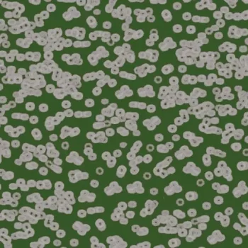 flotex sottsass – 990403 Bacteria