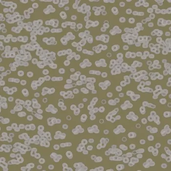 flotex sottsass – 990401 Bacteria