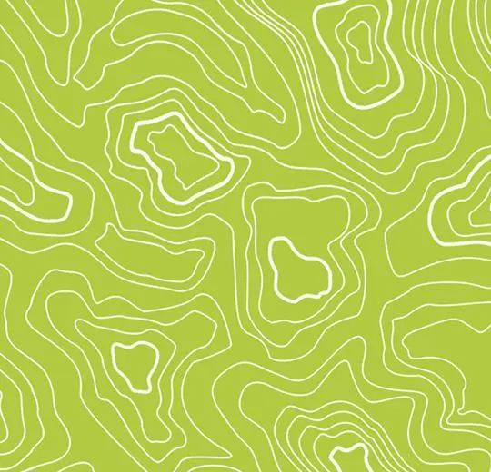 modul’up 19db graphic – 928UP4319 lime topography