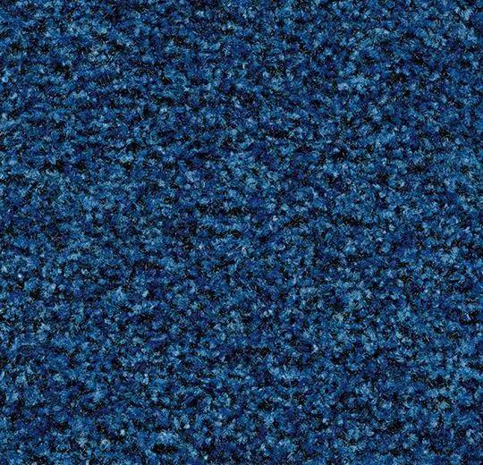 coral karo – 5722 cornflower blue