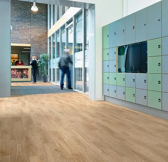 eternal original – 11612 mid oak