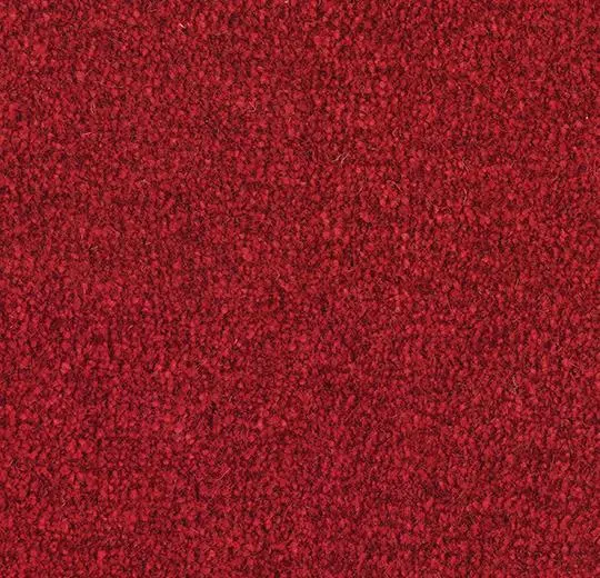 coral marine fr – 4223FR Hong Kong red