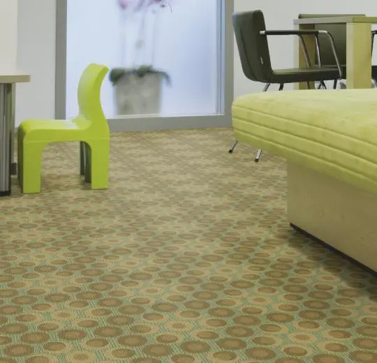 flotex vision shape – 810001 Orbit Spring