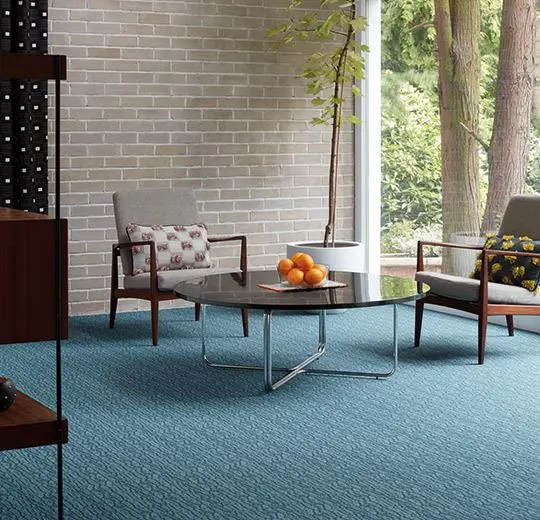 flotex tibor – 980610 Arbor cornflower