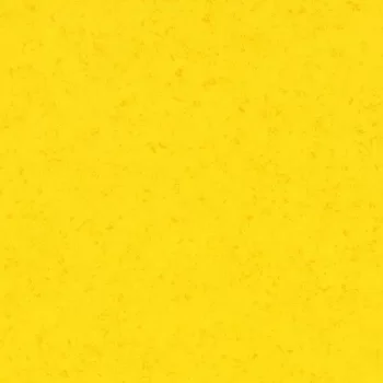 modul’up compact – 235UP43C lemon canyon