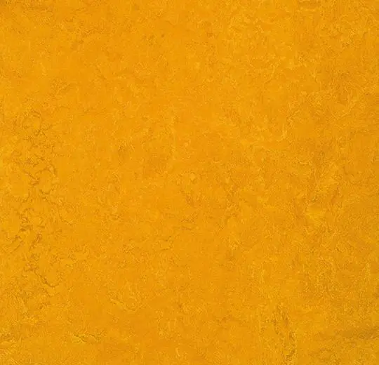marmoleum decibel on order – 312535 golden sunset