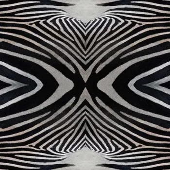 flotex vision image – 000402 zebra