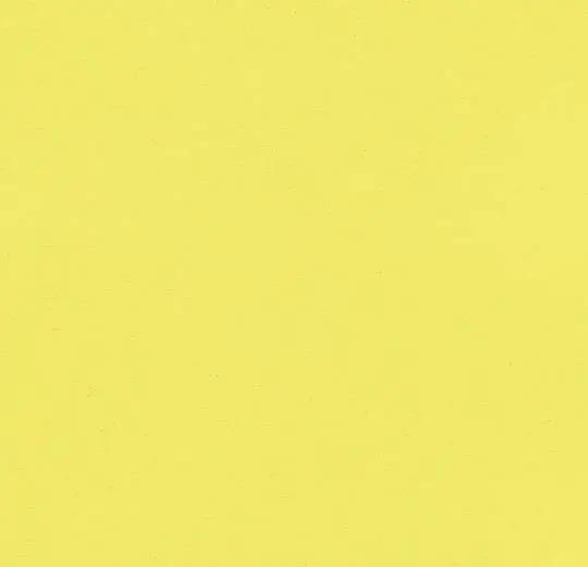 eternal colour – 40522 lemon