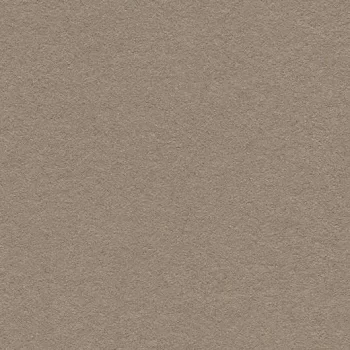 bulletin board – 2208 mushroom medley