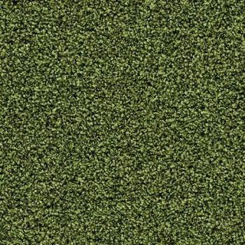 coral bright – 2608 fresh grass