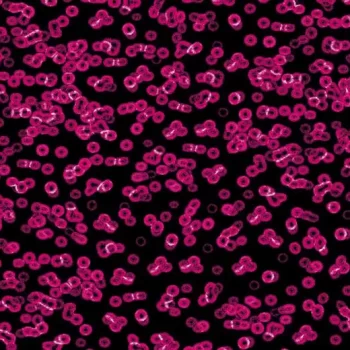 Flotex Sottsass
