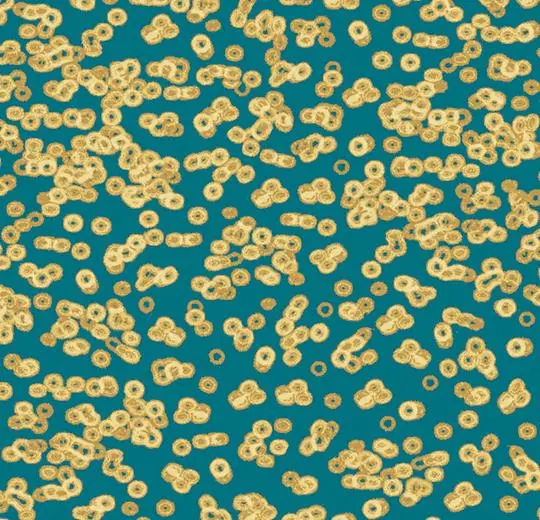 flotex sottsass – 990503 Bacteria