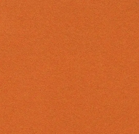 flotex borders – 211003/232003 tangerine