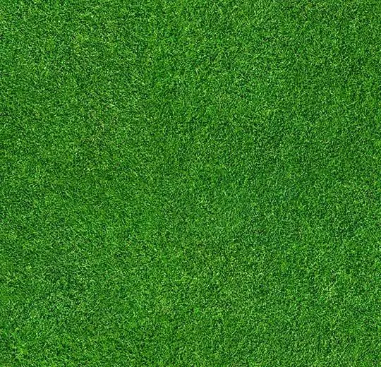 flotex vision image – 000369 grass
