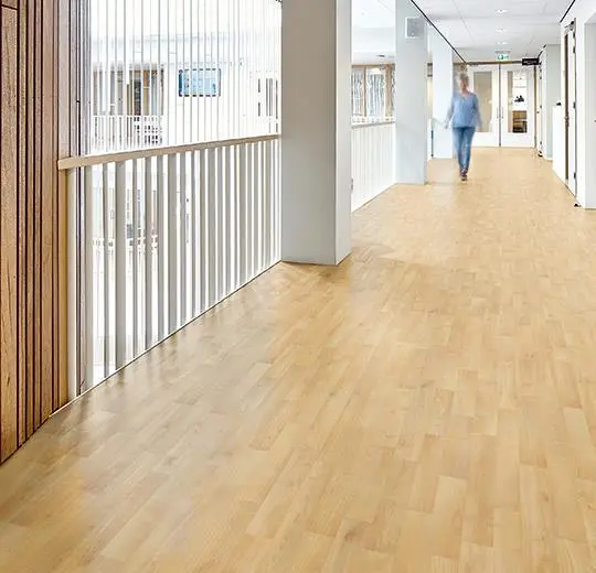eternal original – 11122 natural beech