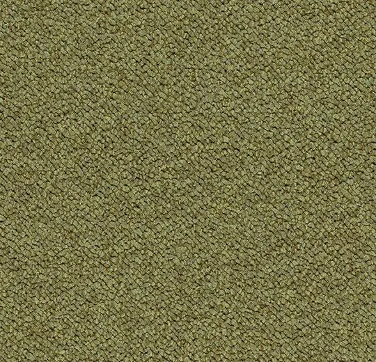 tessera chroma – 3613 pasture