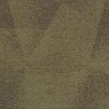 tessera diffusion – 2008 forest trail