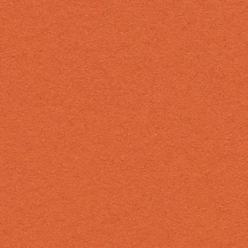bulletin board – 2211 tangerine zest