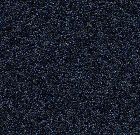 coral luxe – 2917 sapphire