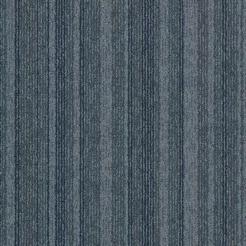 tessera barcode – 308 sky line