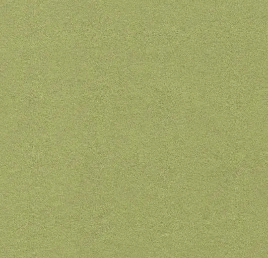 flotex borders – 211085/232085 citrus