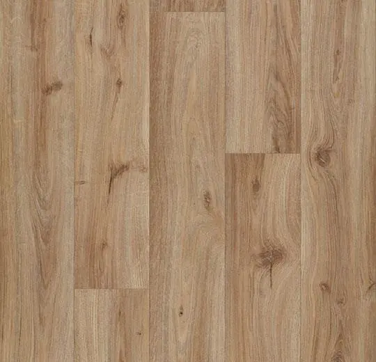 eternal wood – 10832 hazelnut oak