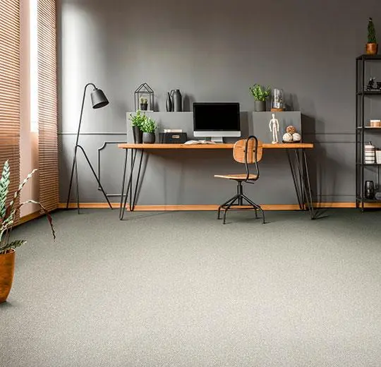 tessera chroma – 3609 coconut
