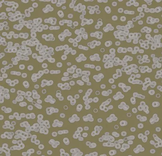 flotex sottsass – 990401 Bacteria