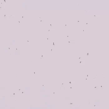 sphera energetic – 50234 lilac