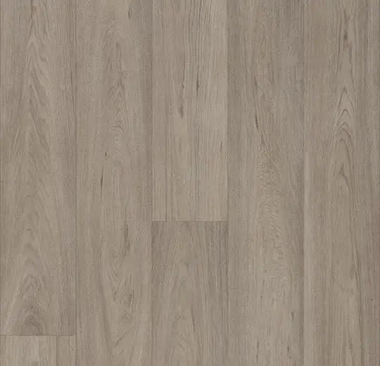 eternal original – 68962 grey oak
