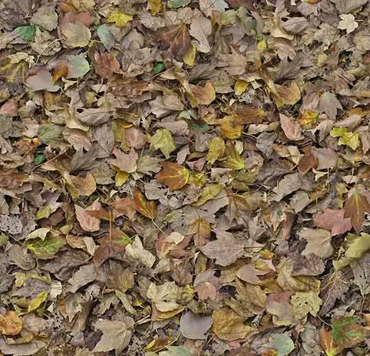 heterojen vinil natural world – 000509E autumn leaves – green
