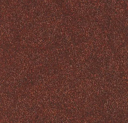 forte graphic rice – 97116