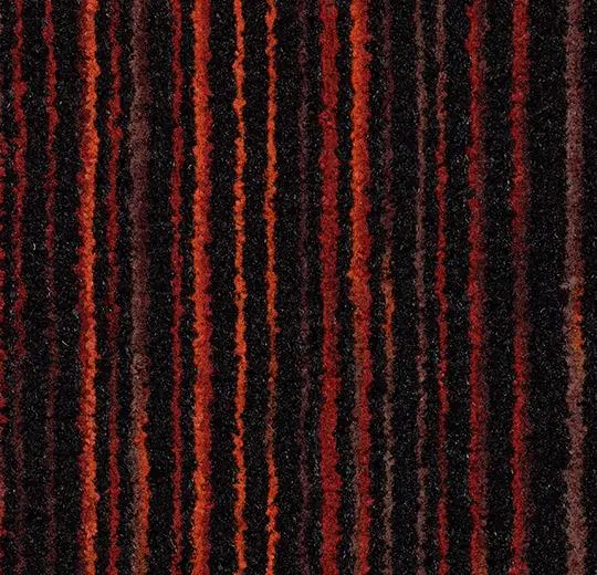 coral welcome – 3206 volcano