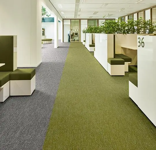 flotex colour rulo – s445027 Canyon kelp