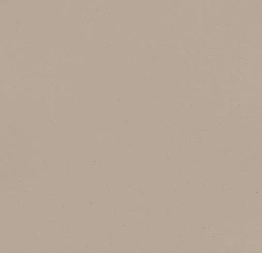 eternal colour – 40392 cement