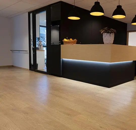 allura wood – 60065DR7/60065DR5 honey elegant oak