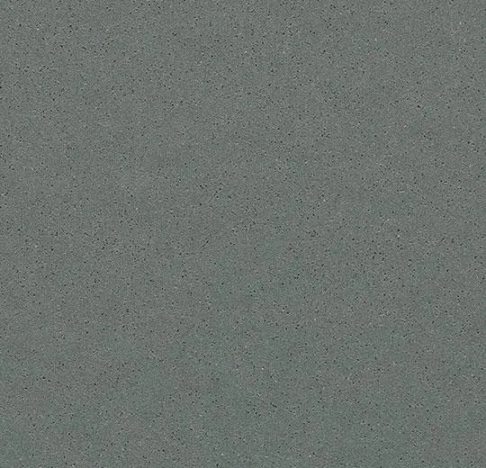 surestep steel – 177982 metallic carbon