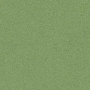 bulletin board – 2213 baby lettuce