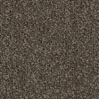 coral classic – 4764 taupe
