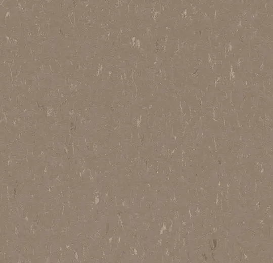 marmoleum solid – 3631 otter