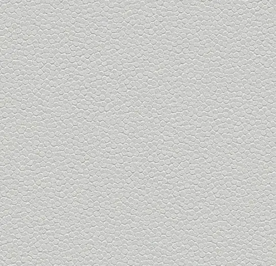 safestep aqua – 180262 trout