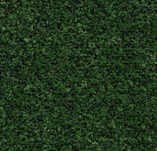 coral fr – 5708FR Coral Brush FR avocado green