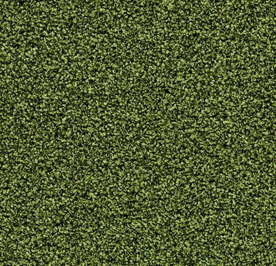 coral bright – 2608 fresh grass