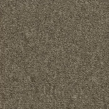 tessera create space 1 – 1807 tawny