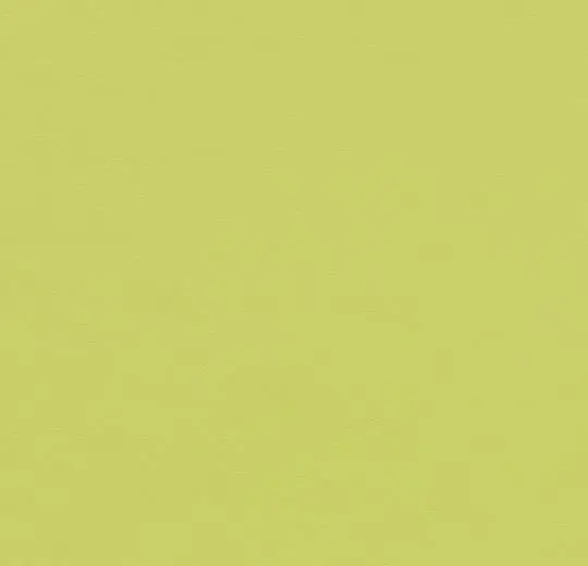 furniture linoleum – 4182 spring green