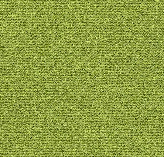 tessera layout & outline planks –